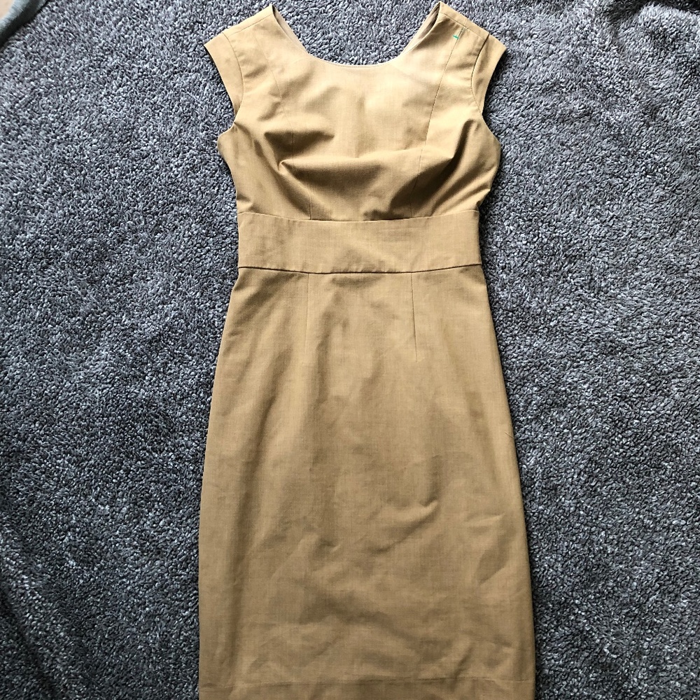 The Limited Sheath Fitted Dress